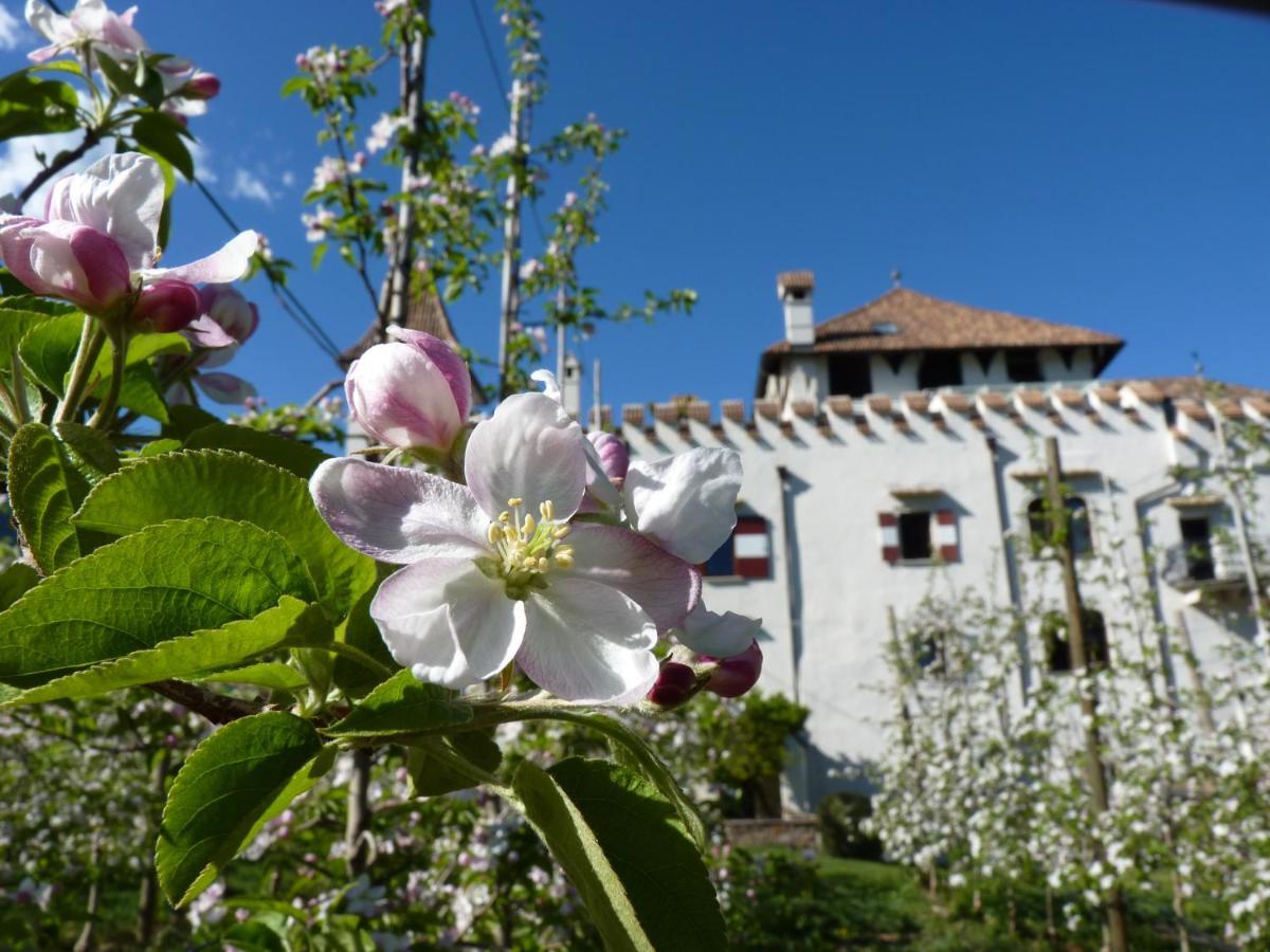 Apartments Schloss Paschbach Appiano Sulla Strada Del Vino Kültér fotó