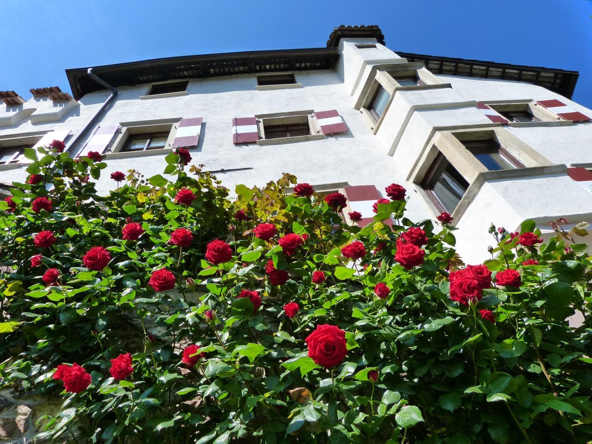 Apartments Schloss Paschbach Appiano Sulla Strada Del Vino Kültér fotó