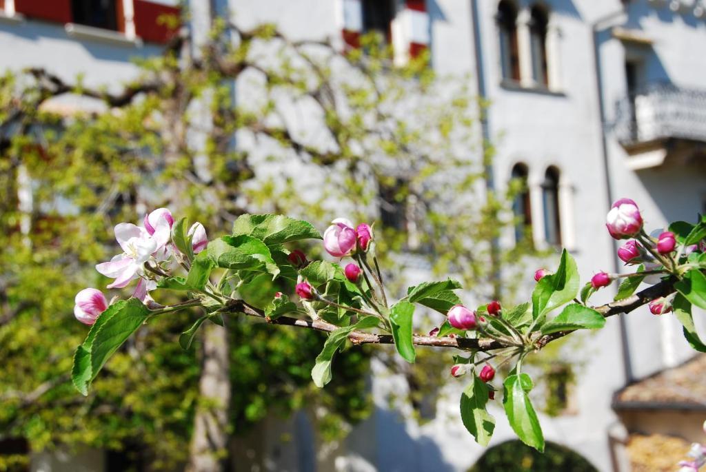 Apartments Schloss Paschbach Appiano Sulla Strada Del Vino Kültér fotó