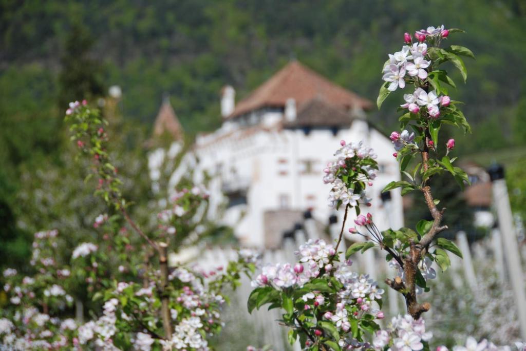 Apartments Schloss Paschbach Appiano Sulla Strada Del Vino Kültér fotó